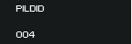 pildid